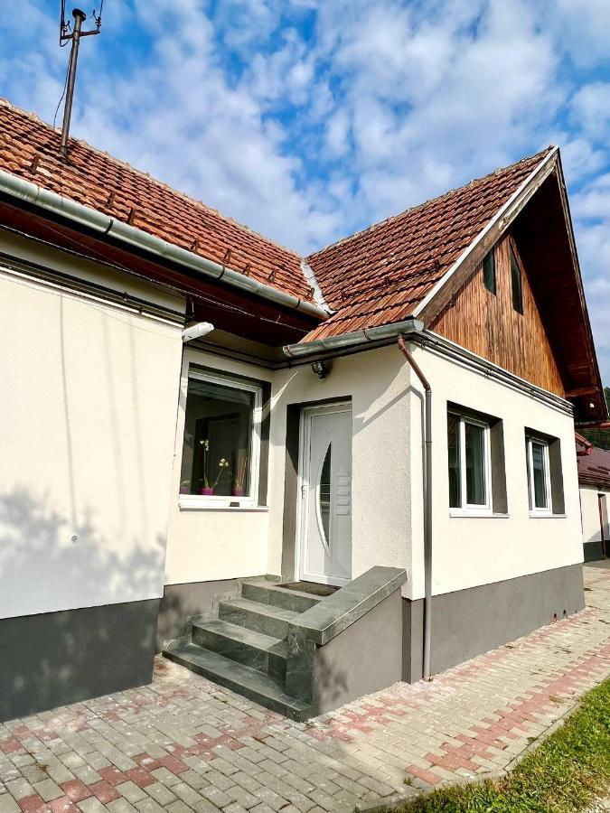 Silver House Rasnov Exteriör bild