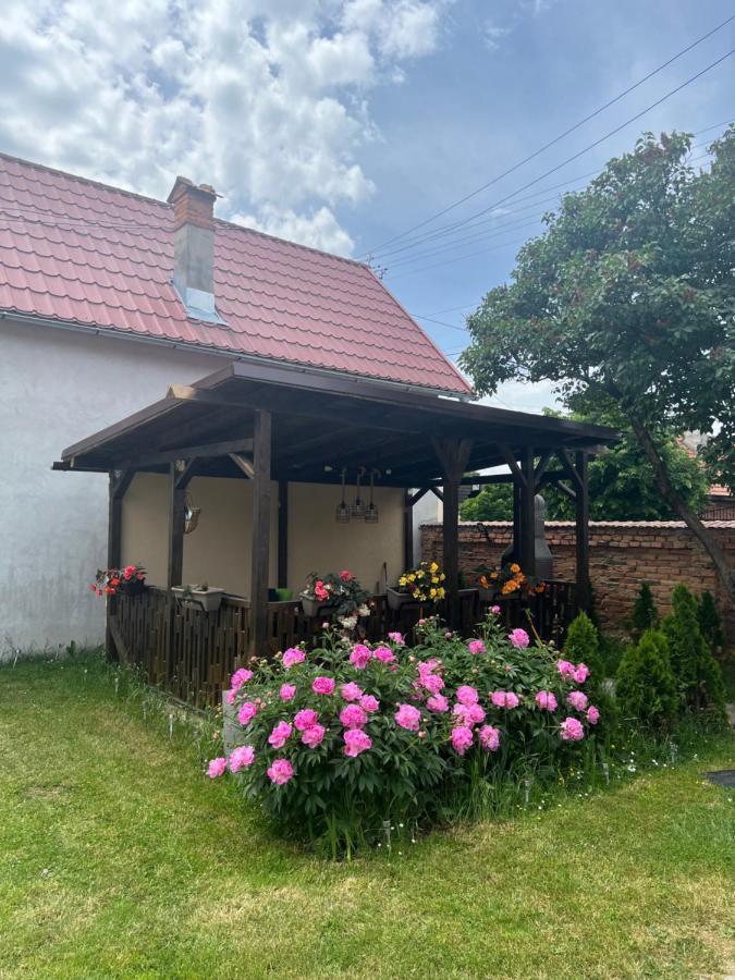 Silver House Rasnov Exteriör bild